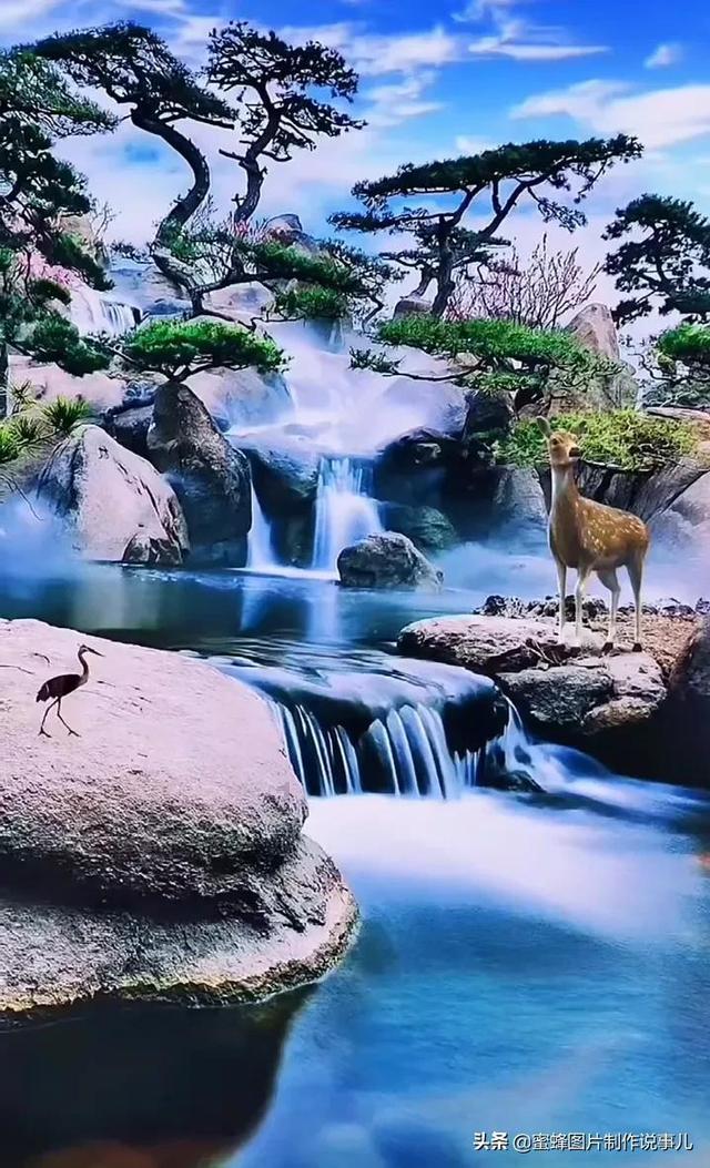 空中大战斗